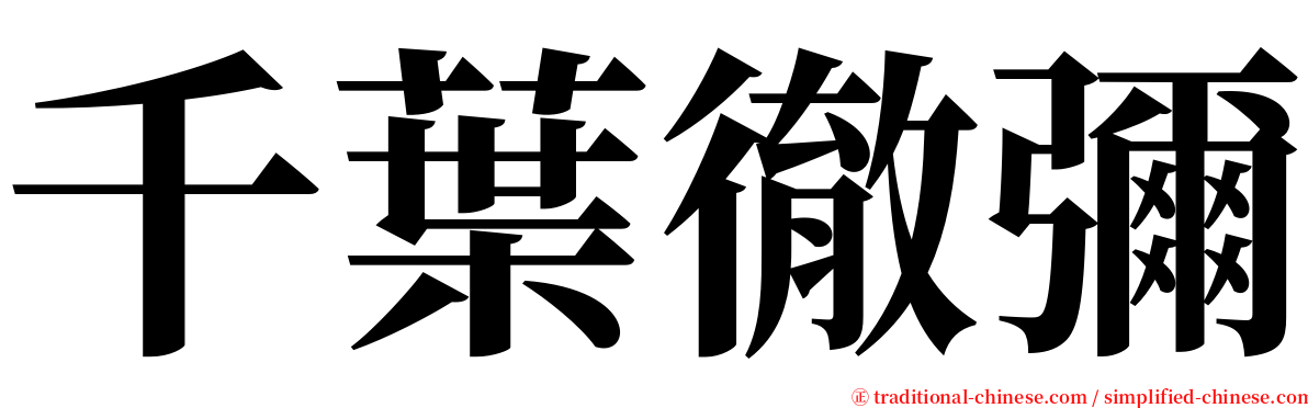 千葉徹彌 serif font