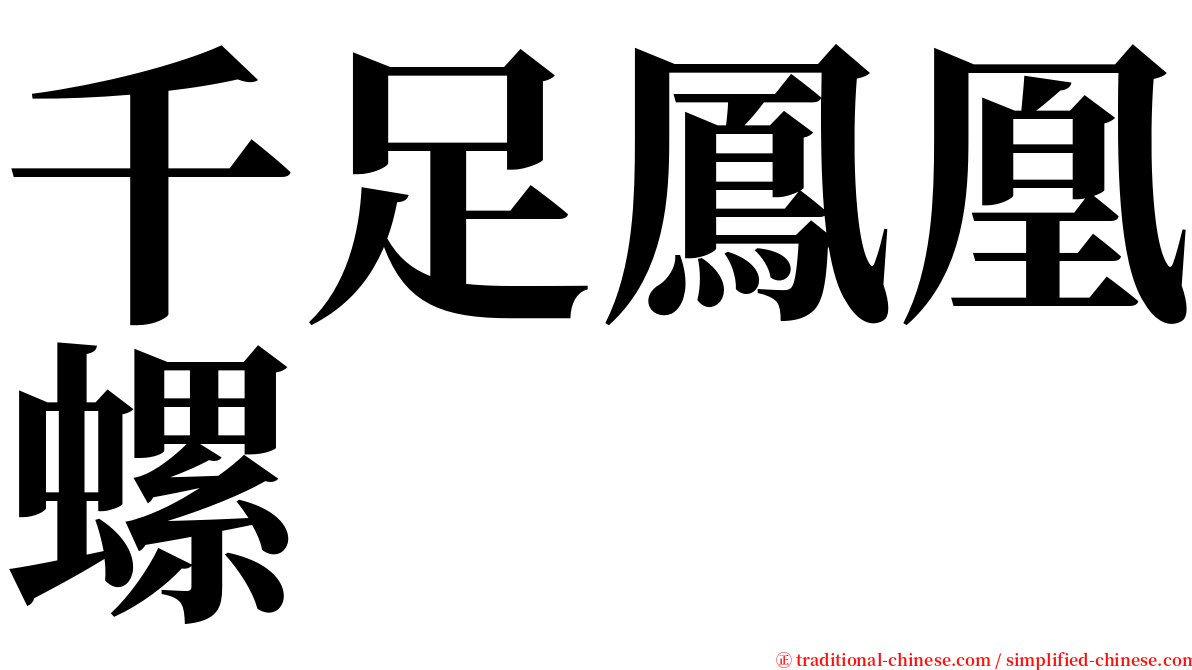 千足鳳凰螺 serif font