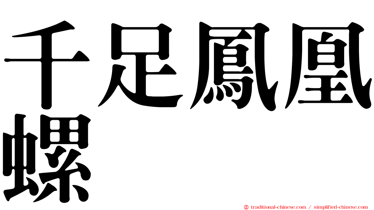 千足鳳凰螺