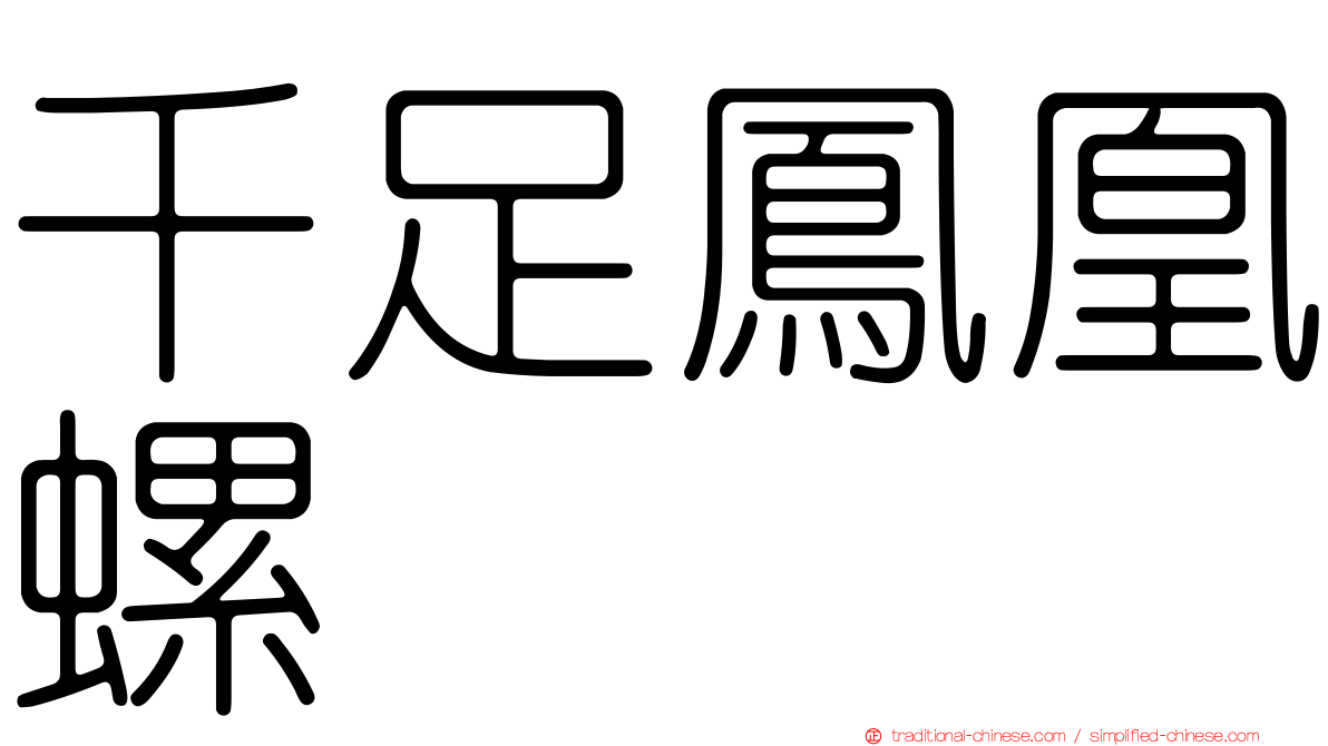千足鳳凰螺