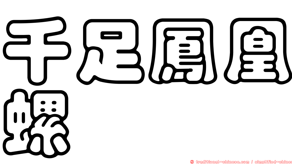 千足鳳凰螺