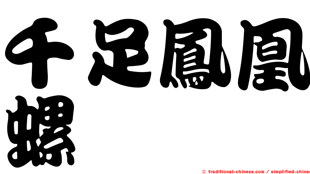 千足鳳凰螺