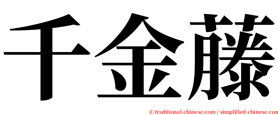 千金藤 serif font