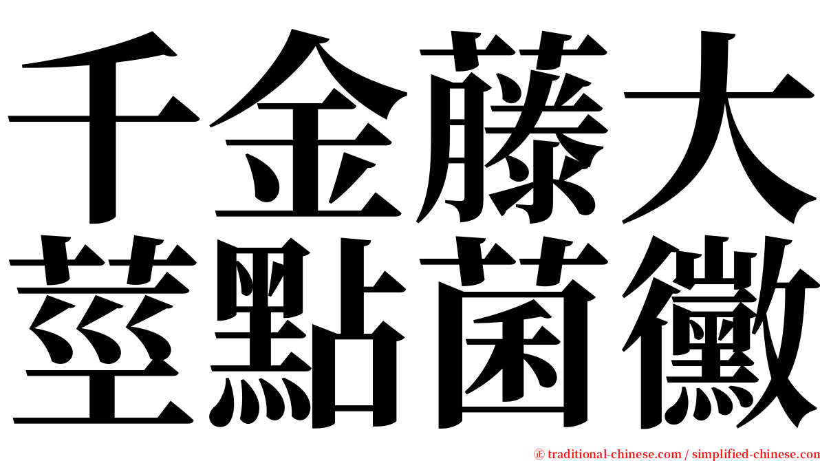 千金藤大莖點菌黴 serif font