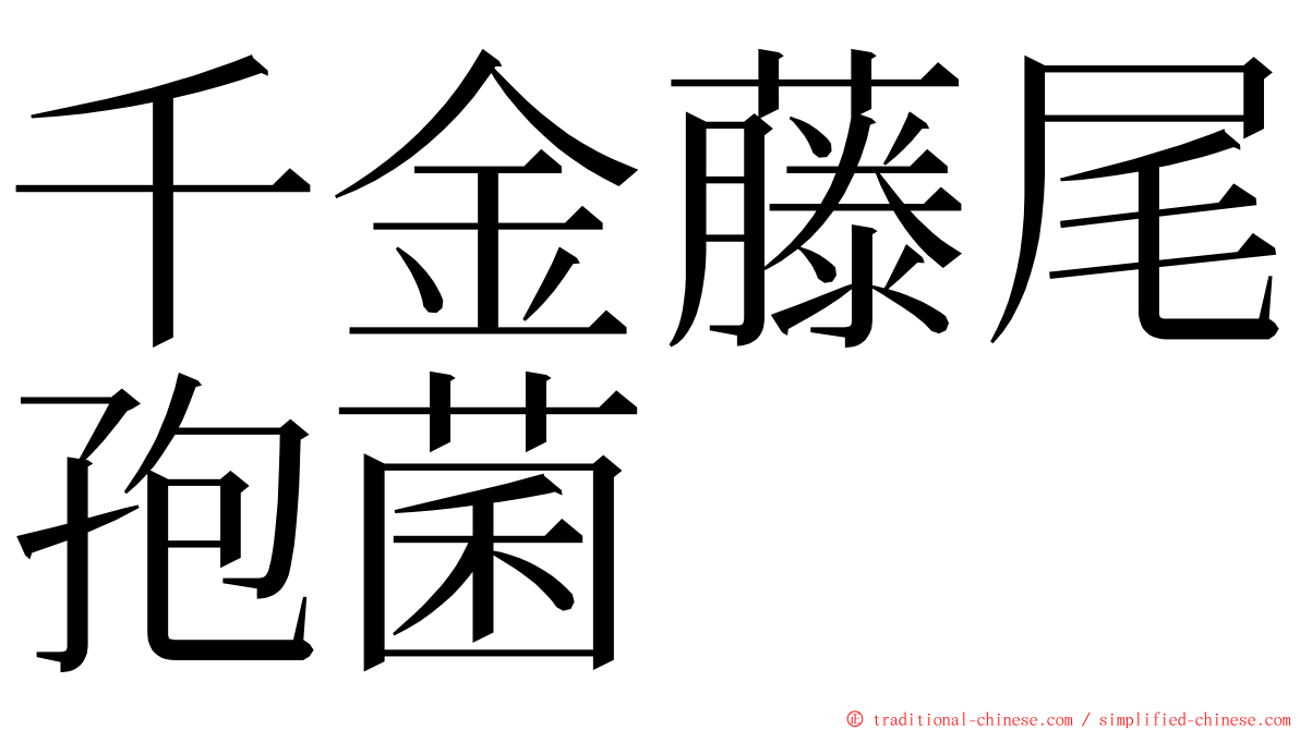 千金藤尾孢菌 ming font