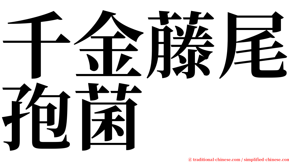 千金藤尾孢菌 serif font