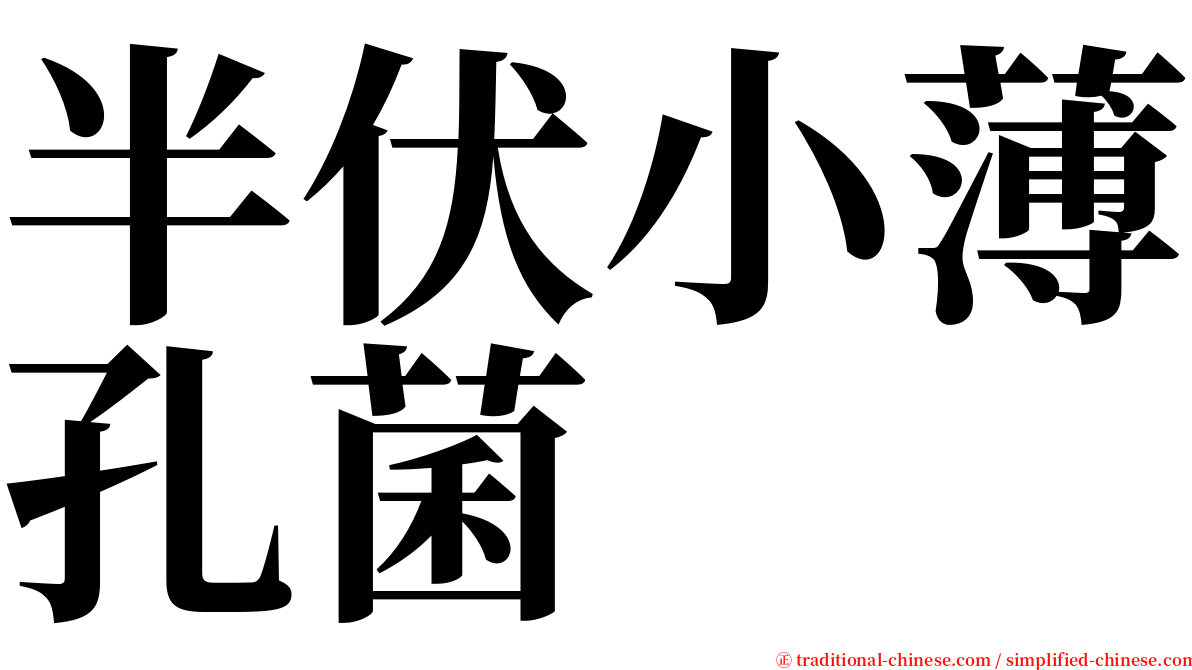 半伏小薄孔菌 serif font