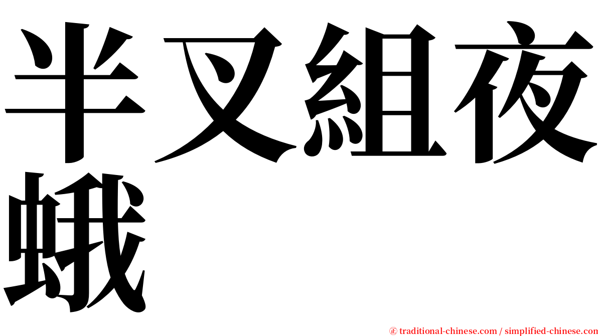 半叉組夜蛾 serif font