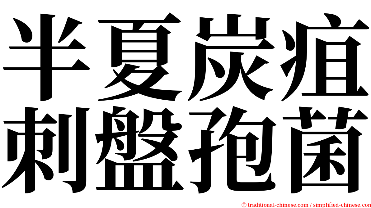 半夏炭疽刺盤孢菌 serif font