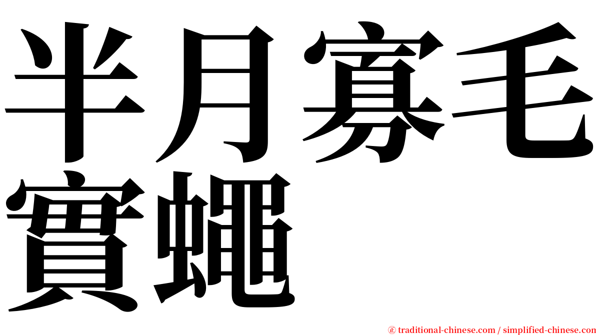 半月寡毛實蠅 serif font