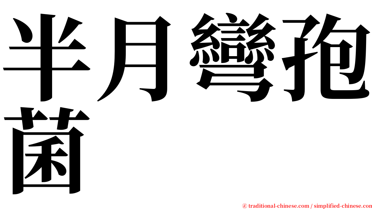 半月彎孢菌 serif font