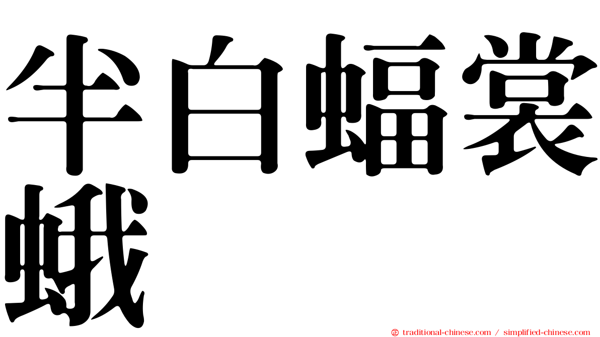 半白蝠裳蛾