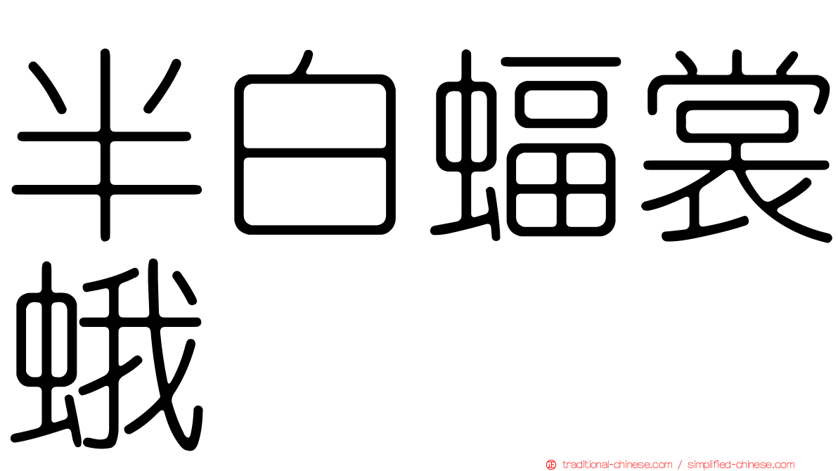 半白蝠裳蛾