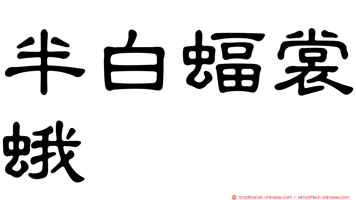半白蝠裳蛾