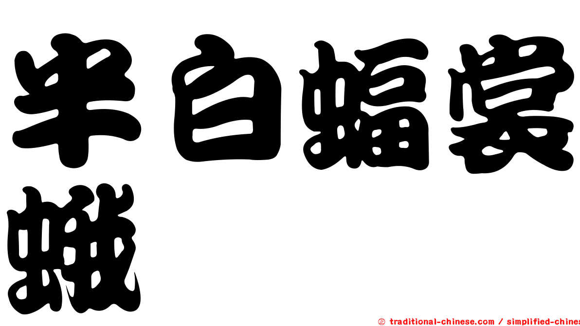半白蝠裳蛾