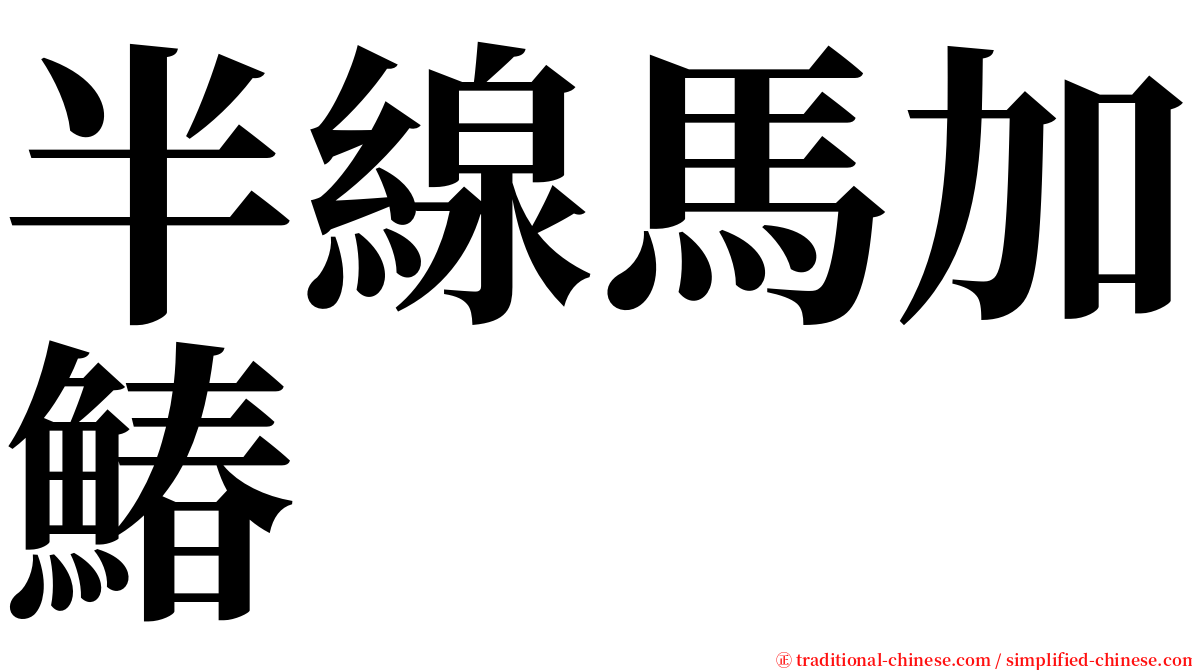 半線馬加鰆 serif font