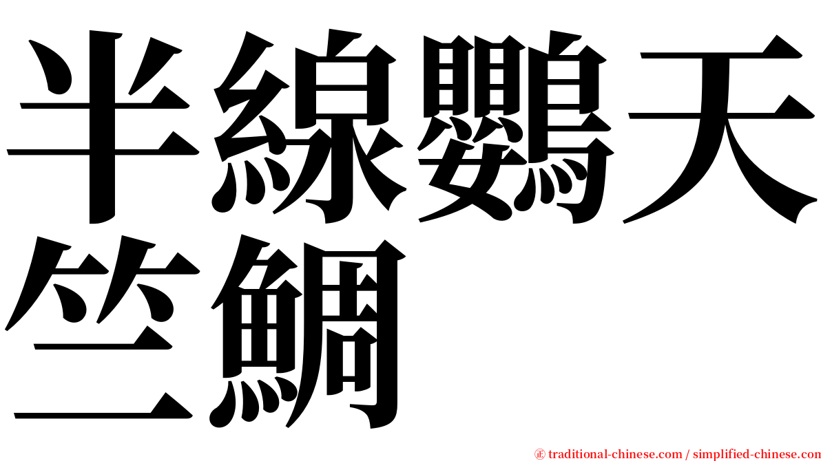 半線鸚天竺鯛 serif font