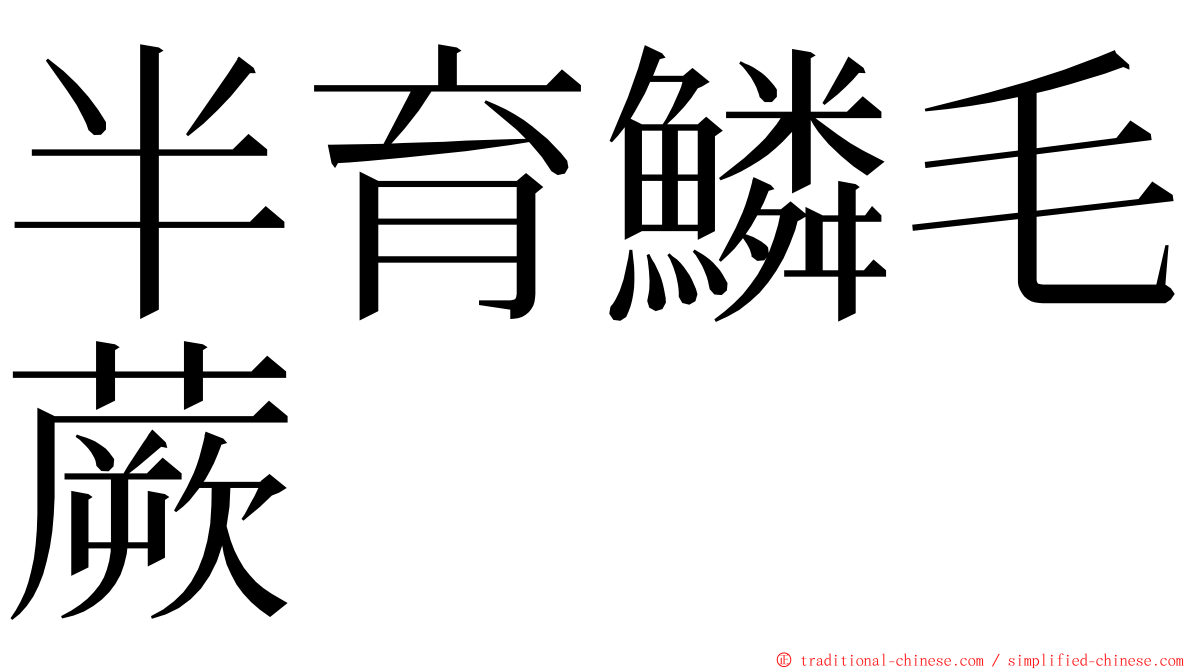 半育鱗毛蕨 ming font