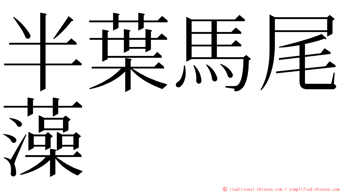 半葉馬尾藻 ming font