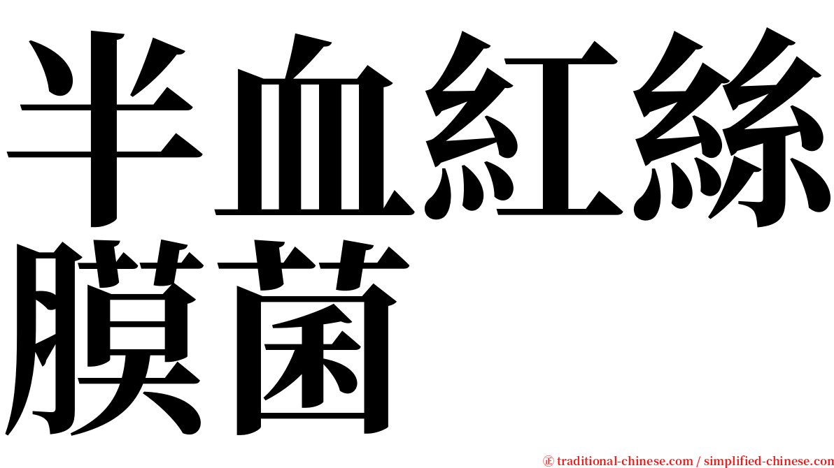 半血紅絲膜菌 serif font