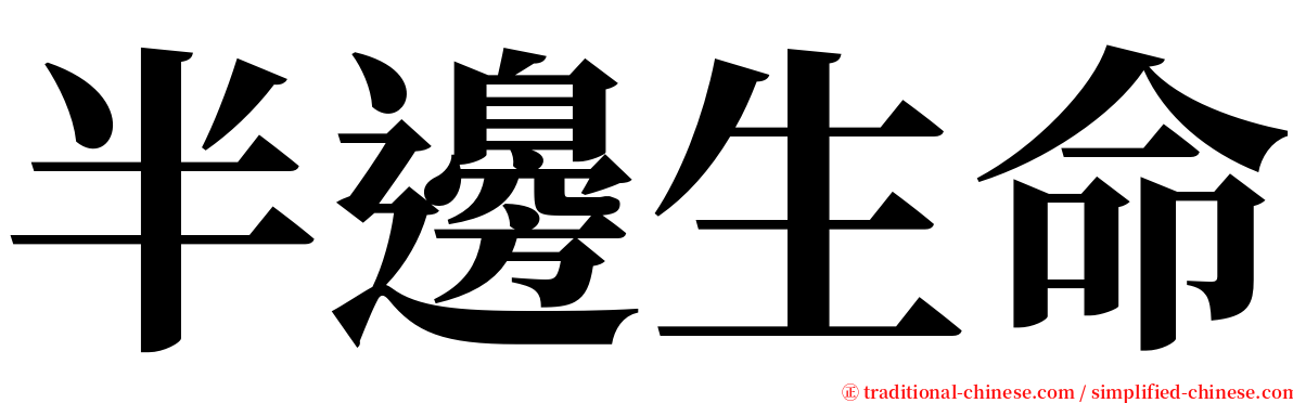 半邊生命 serif font