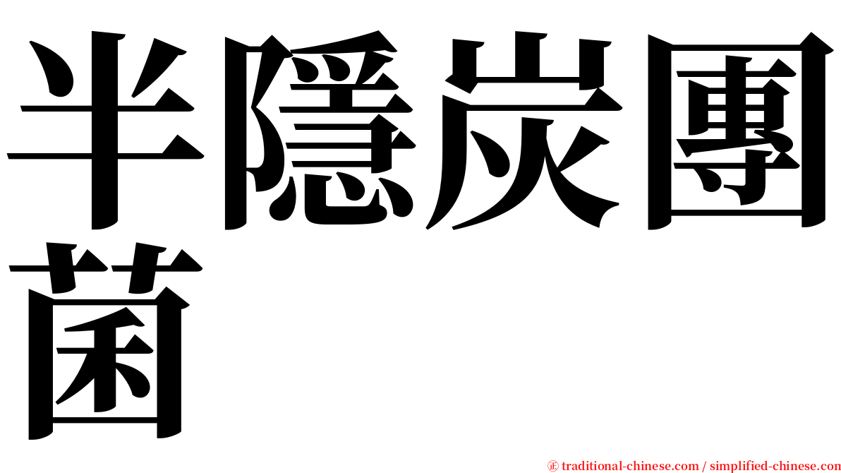 半隱炭團菌 serif font