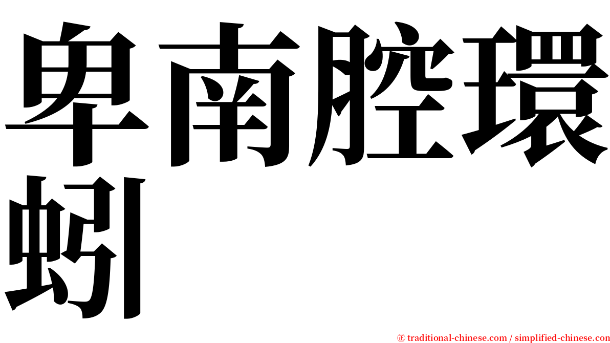 卑南腔環蚓 serif font