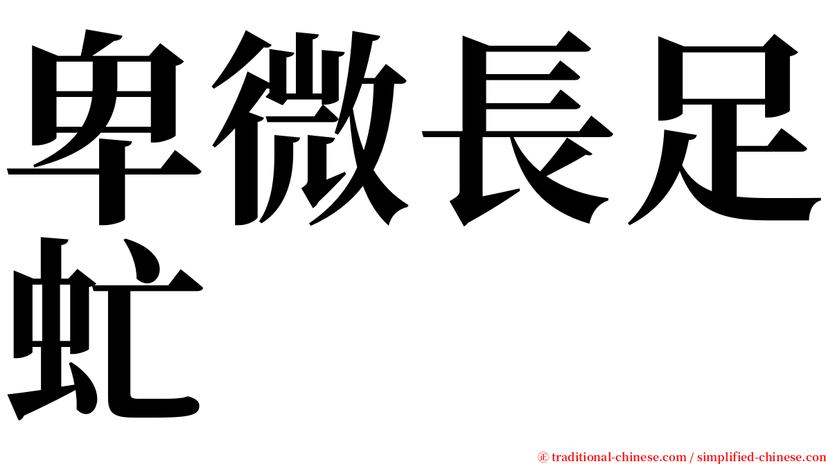 卑微長足虻 serif font