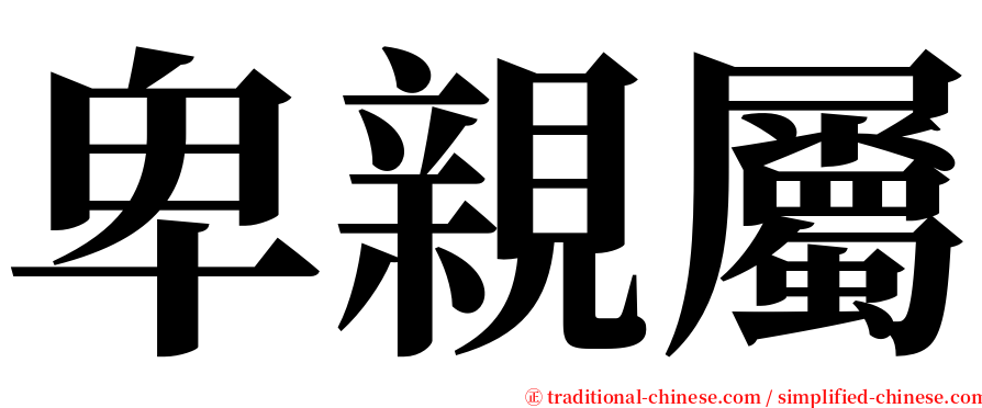 卑親屬 serif font