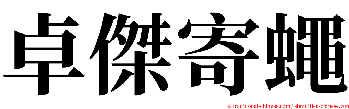 卓傑寄蠅 serif font