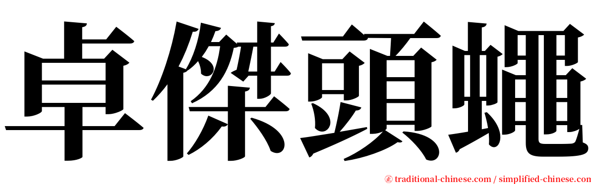 卓傑頭蠅 serif font