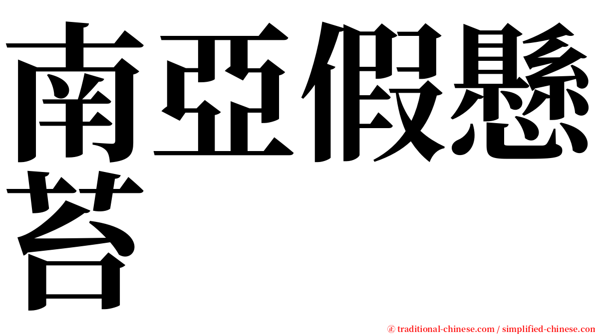 南亞假懸苔 serif font