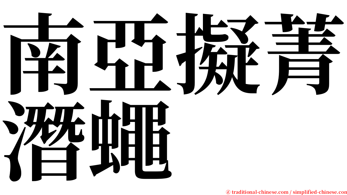 南亞擬菁潛蠅 serif font