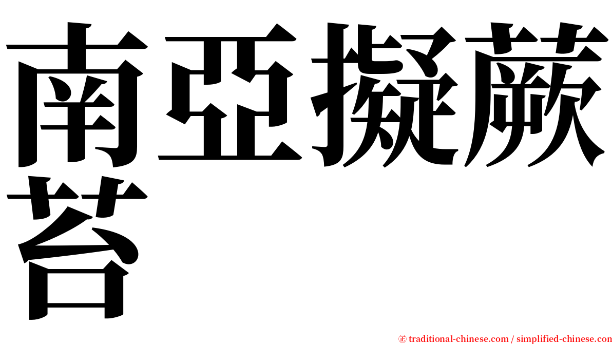 南亞擬蕨苔 serif font