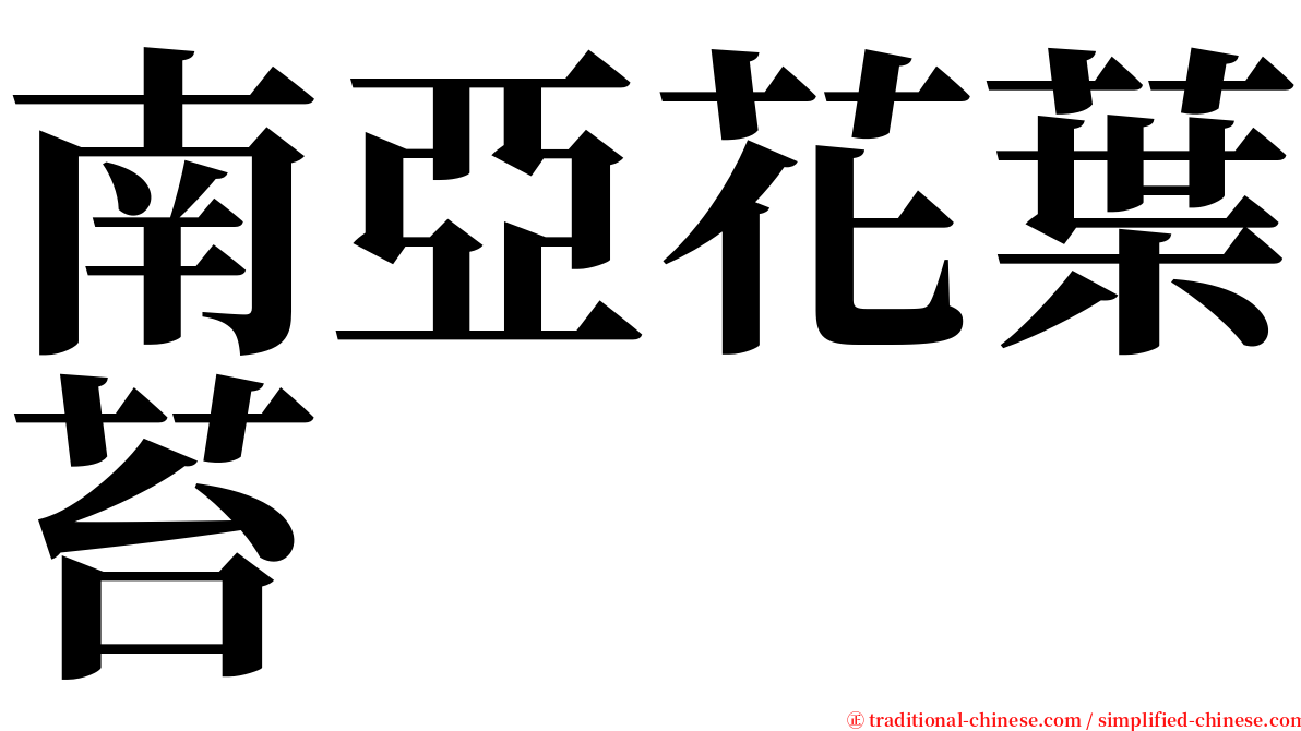 南亞花葉苔 serif font