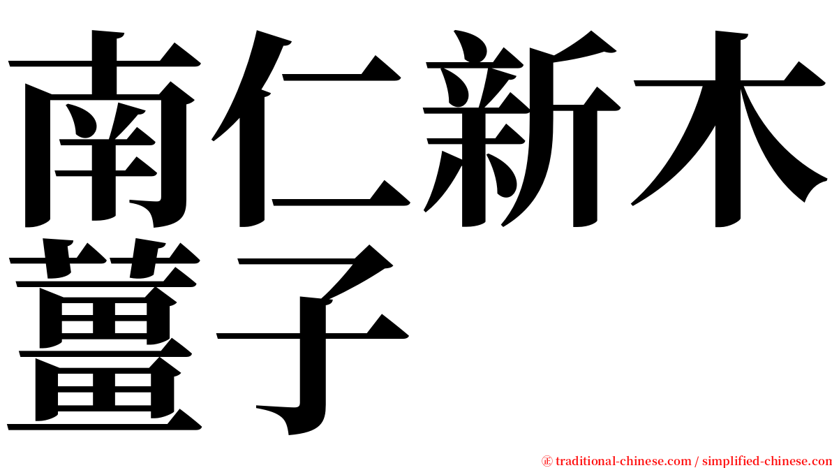 南仁新木薑子 serif font