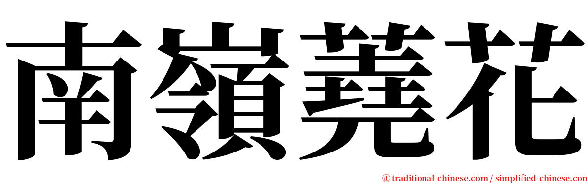 南嶺蕘花 serif font