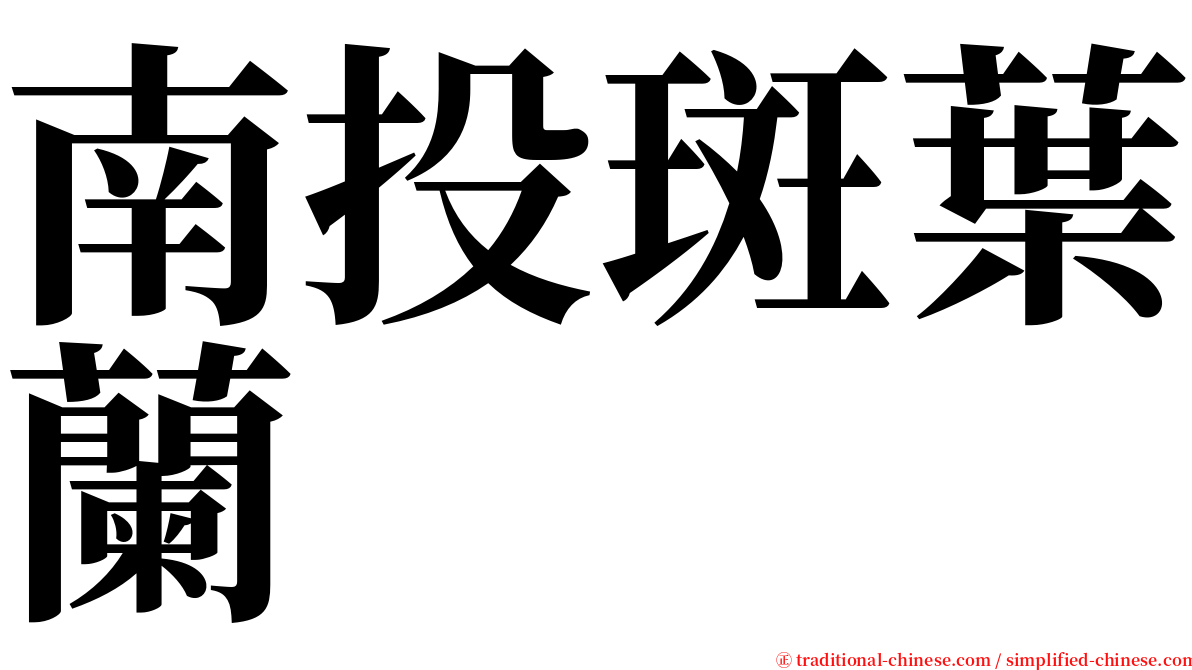 南投斑葉蘭 serif font