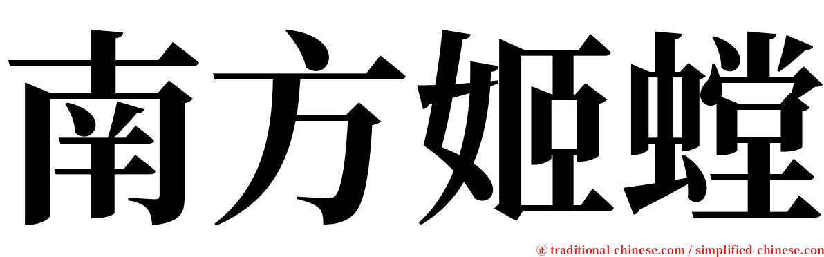 南方姬螳 serif font