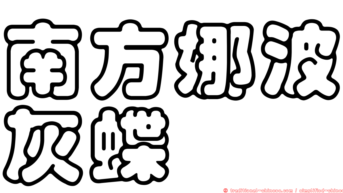 南方娜波灰蝶