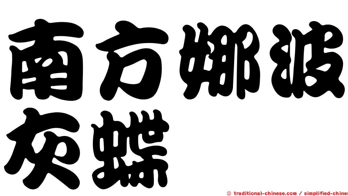 南方娜波灰蝶