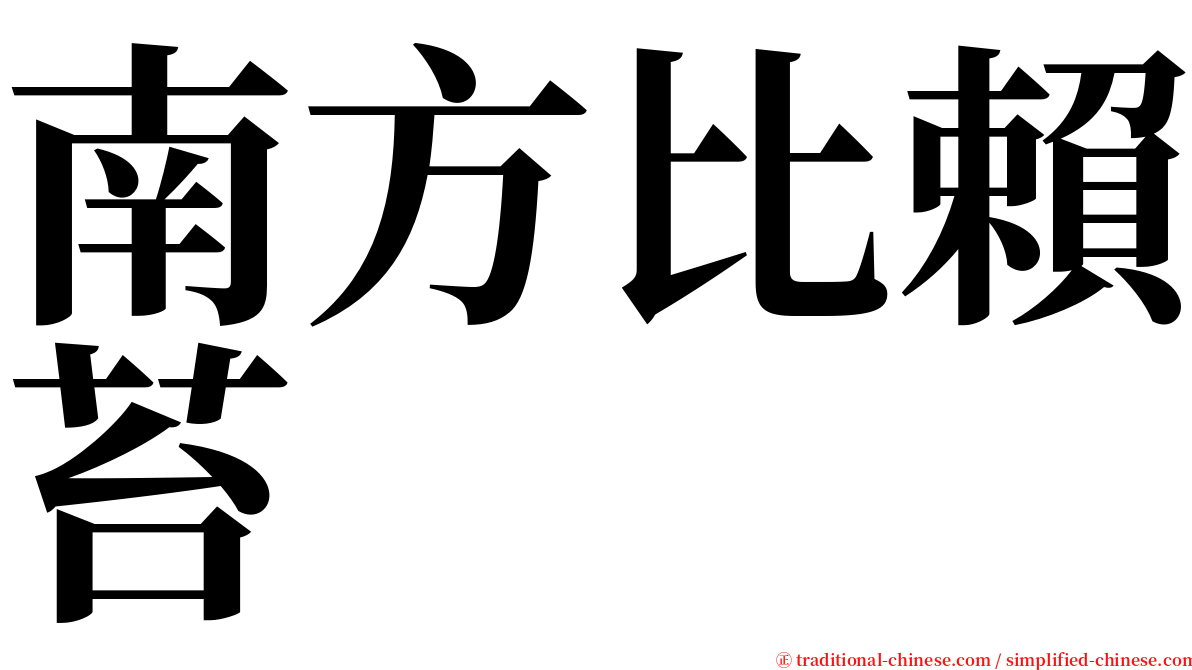 南方比賴苔 serif font