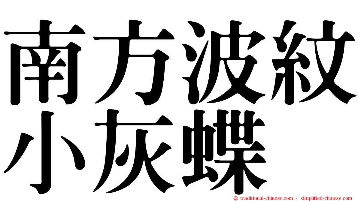 南方波紋小灰蝶