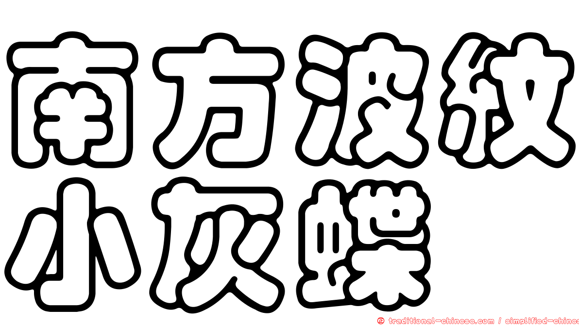 南方波紋小灰蝶
