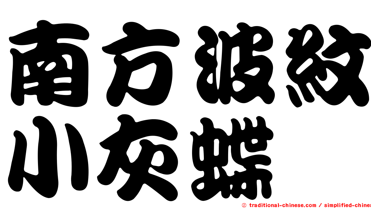南方波紋小灰蝶