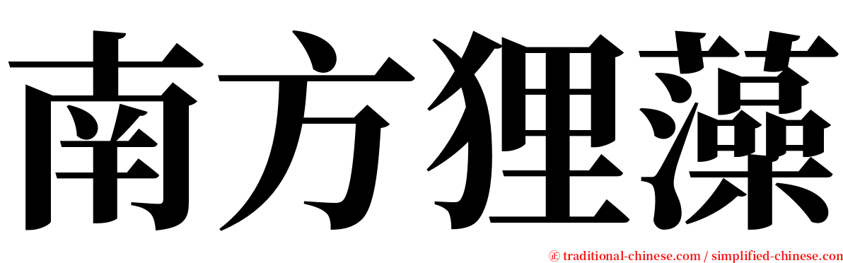 南方狸藻 serif font