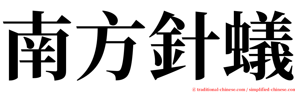 南方針蟻 serif font