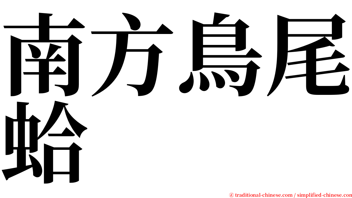 南方鳥尾蛤 serif font