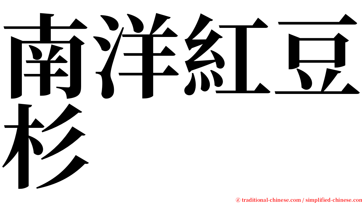 南洋紅豆杉 serif font