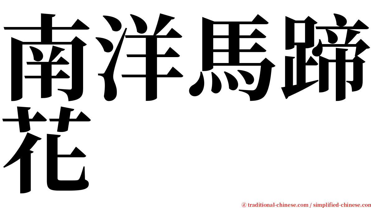 南洋馬蹄花 serif font